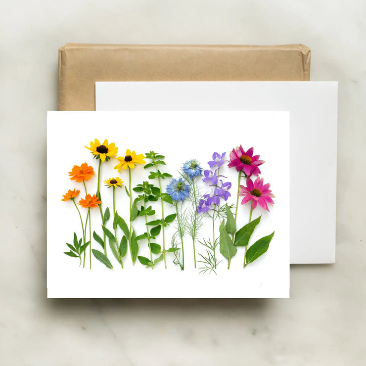 Rainbow with Coneflower/Card by Bottle Branch