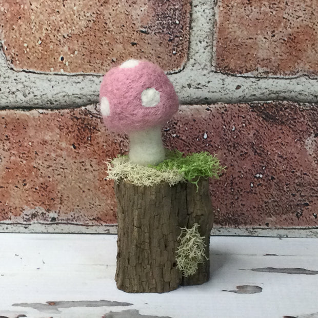 Solo Blush Pink Mushroom on Natural Tree Stump