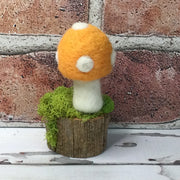 Solo Cantaloupe Mushroom on Natural Tree Stump