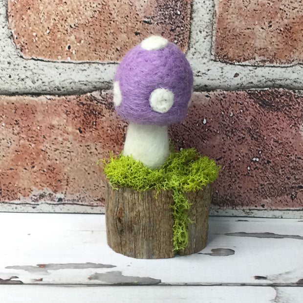 Solo Lavender Mushroom on Natural Tree Stump :: More Styles Available