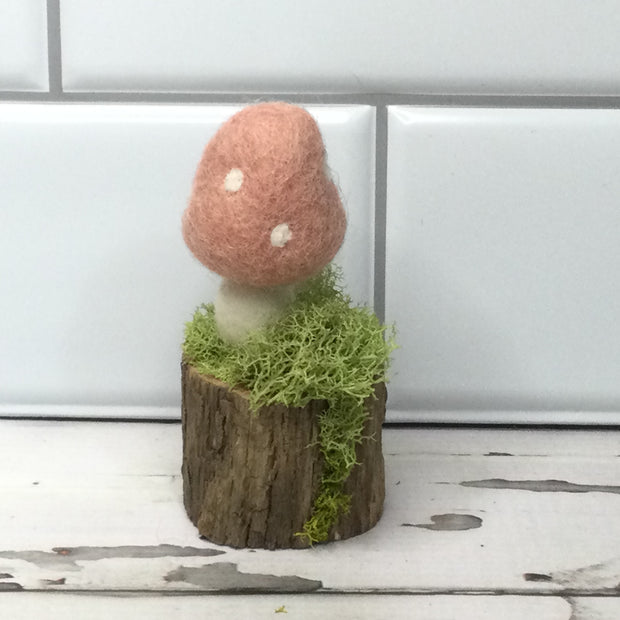 Solo Salmon Mushroom on Natural Tree Stump :: More Styles Available