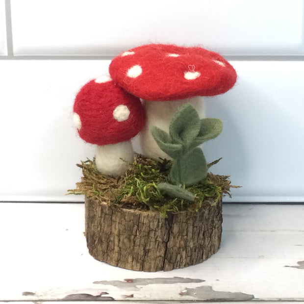 2 Red Wooly Mushrooms with Bud on Natural Tree Stump