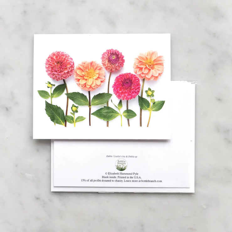 Dahlia Garden/Card by Bottle Branch