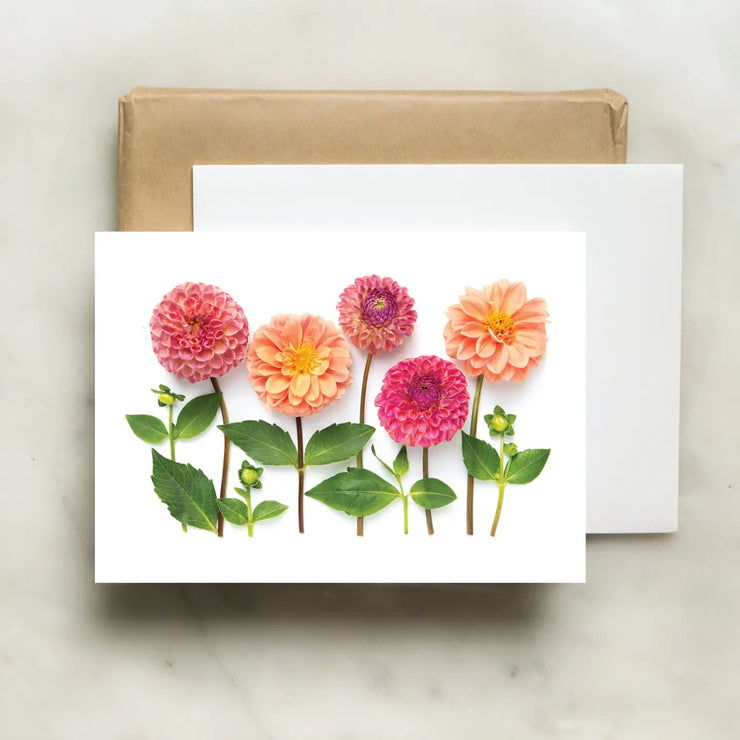 Dahlia Garden/Card by Bottle Branch