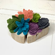 The Drama Garden - Felted Succulents