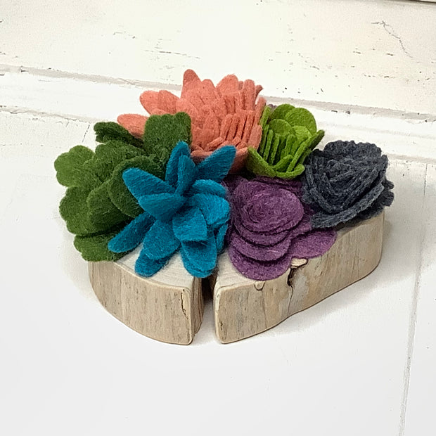 The Drama Garden - Felted Succulents