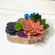 The Drama Garden - Felted Succulents
