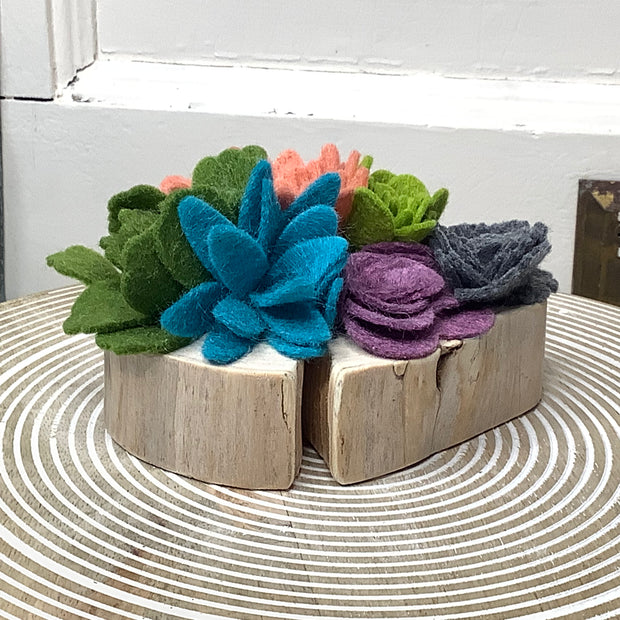 The Drama Garden - Felted Succulents