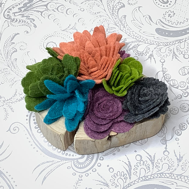 The Drama Garden - Felted Succulents