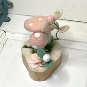 Cherry Blossom Shrooms
