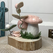 Cherry Blossom Shrooms