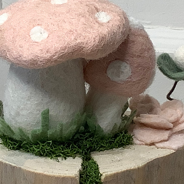 Cherry Blossom Shrooms