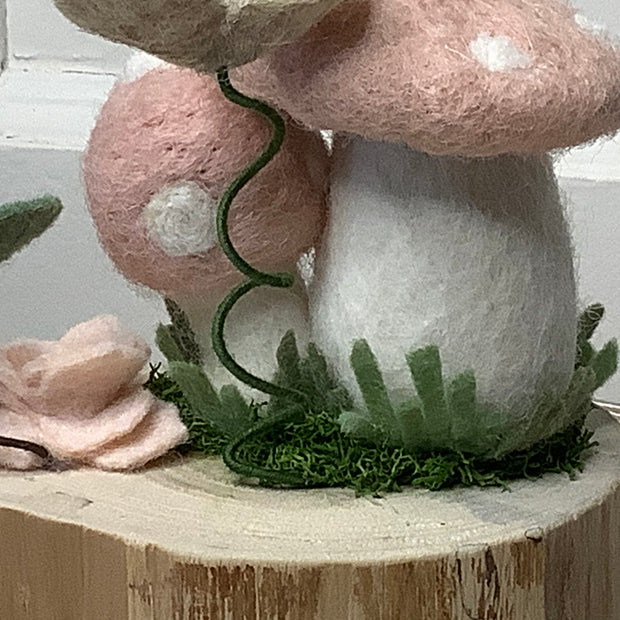 Cherry Blossom Shrooms
