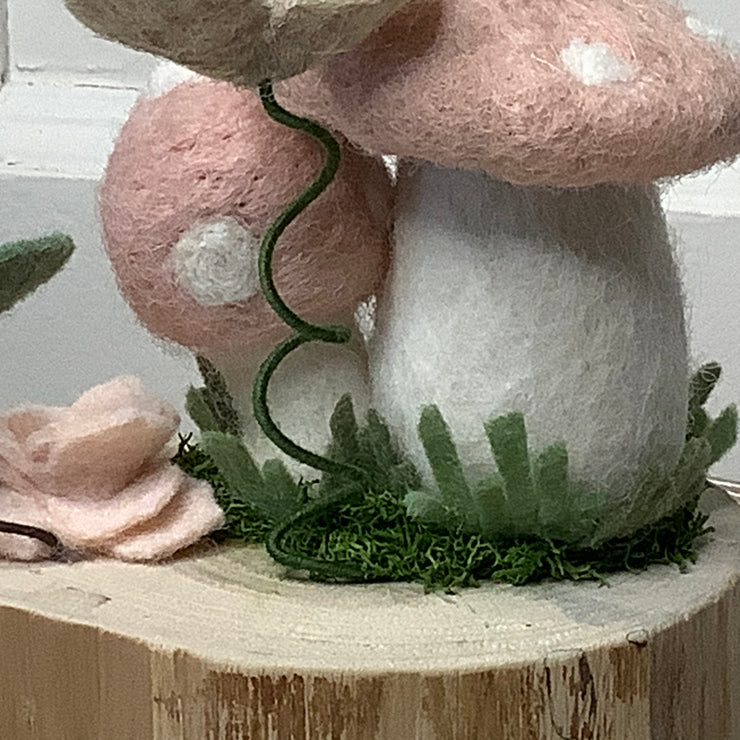 Cherry Blossom Shrooms
