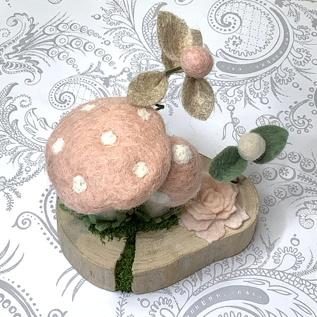 Cherry Blossom Shrooms