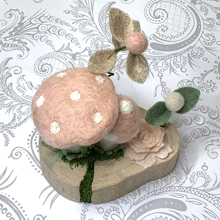 Cherry Blossom Shrooms