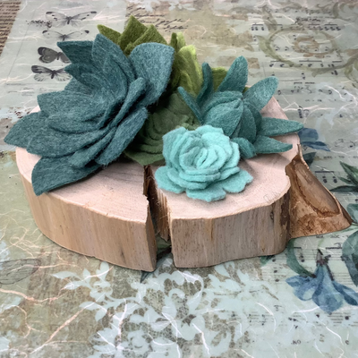 A Tiny Oasis, No Water Needed - Wooly Green Succulent Garden