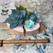 A Tiny Oasis, No Water Needed - Wooly Green Succulent Garden