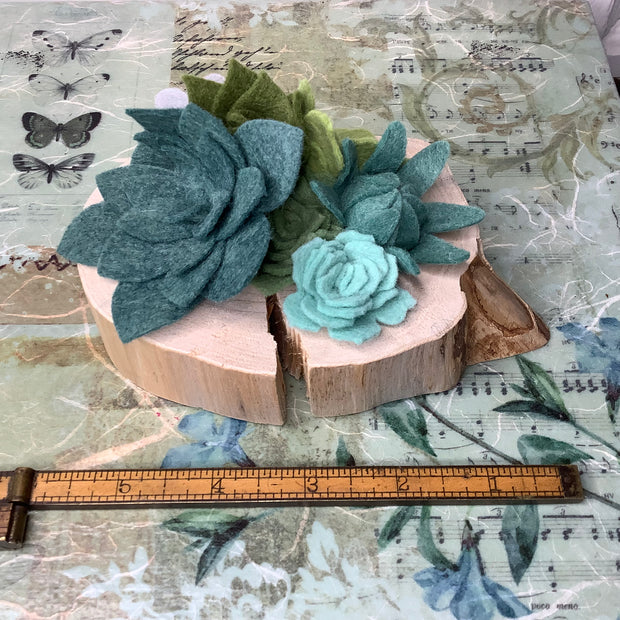 A Tiny Oasis, No Water Needed - Wooly Green Succulent Garden