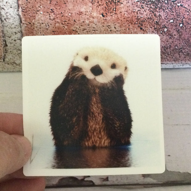 Otter/Vinyl Sticker