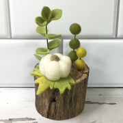 Pumpkin Patch/Wooly Buddy on Tree Stump