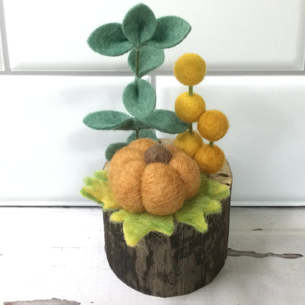 Pumpkin Patch/Wooly Buddy on Tree Stump