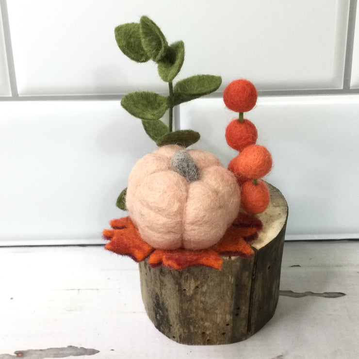 Pumpkin Patch/Wooly Buddy on Tree Stump