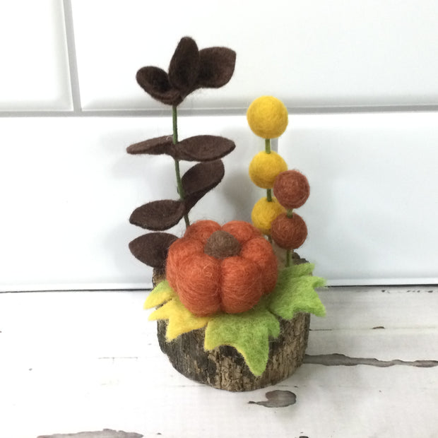 Pumpkin Patch/Wooly Buddy on Tree Stump