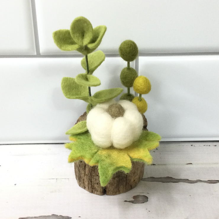 Pumpkin Patch/Wooly Buddy on Tree Stump