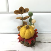 Pumpkin Patch/Wooly Buddy on Tree Stump