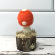 Solo Bright Coral Mushroom on Natural Tree Stump