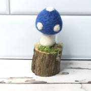 Solo French Blue Mushroom on Natural Tree Stump