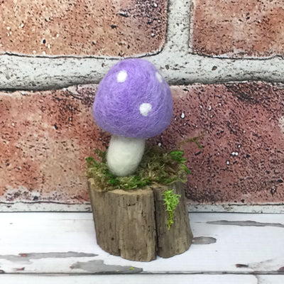 Solo Lavender Mushroom on Natural Tree Stump