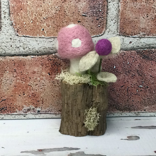 Solo Blush Pink Mushroom on Natural Tree Stump