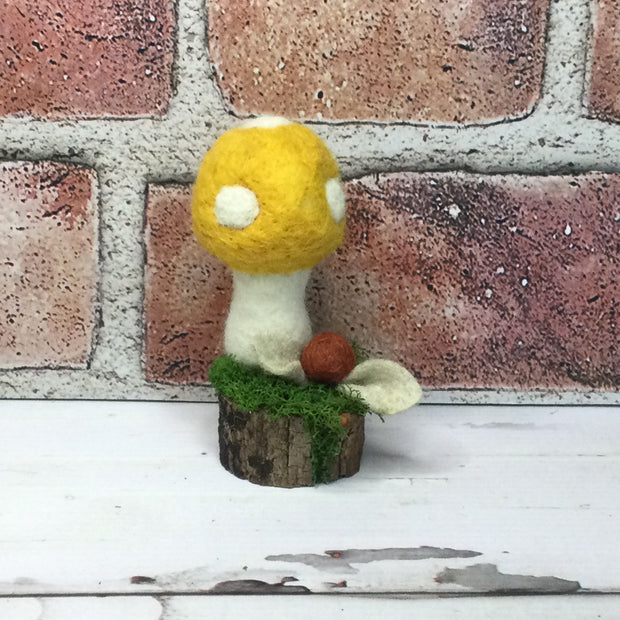 Solo Marigold Mushroom on Natural Tree Stump