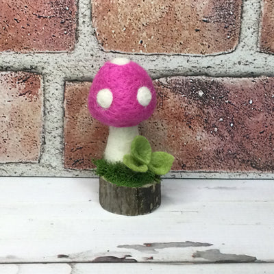 Solo Raspberry Mushroom on Natural Tree Stump