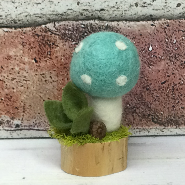 Solo Aqua Mushroom & Flora on Natural Tree Stump