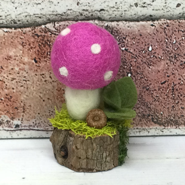 Solo Bubblegum Mushroom on Natural Tree Stump