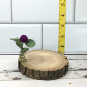 Eggplant Wooly Flora Candle Coaster/Natural Tree Slice