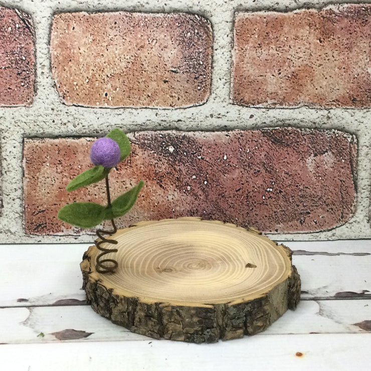 Lavender Wooly Flora Candle Coaster/Natural Tree Slice