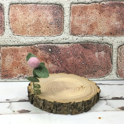 Faded Rose Wooly Flora Candle Coaster/Natural Tree Slice