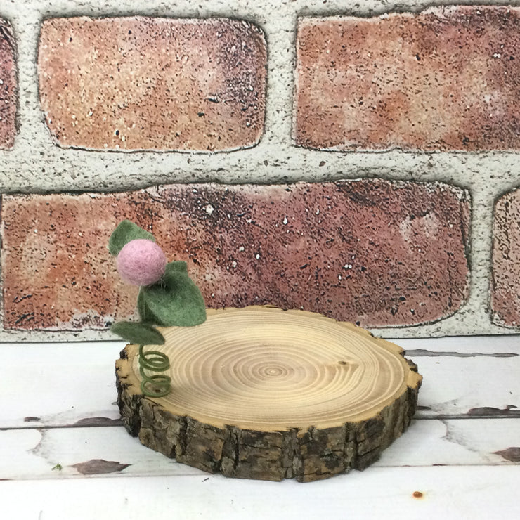 Faded Rose Wooly Flora Candle Coaster/Natural Tree Slice