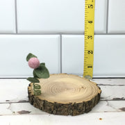 Faded Rose Wooly Flora Candle Coaster/Natural Tree Slice