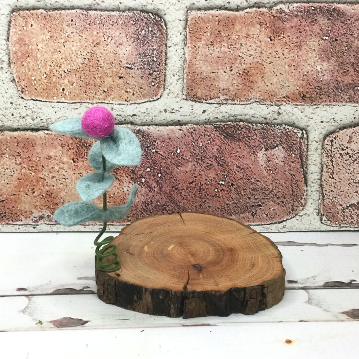 Raspberry Wooly Flora Candle Coaster/Natural Tree Slice