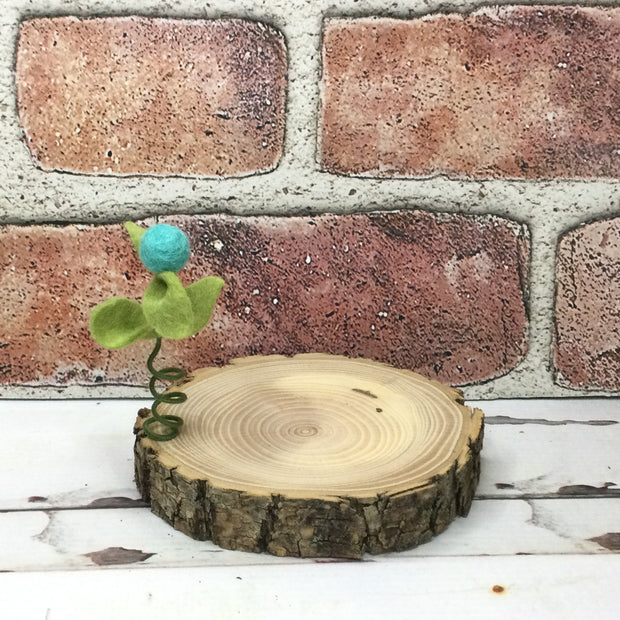 Aqua Wooly Flora Candle Coaster/Natural Tree Slice