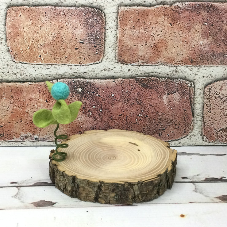 Aqua Wooly Flora Candle Coaster/Natural Tree Slice