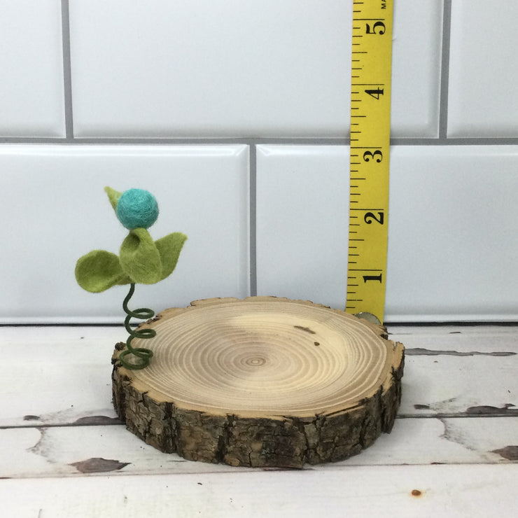 Aqua Wooly Flora Candle Coaster/Natural Tree Slice