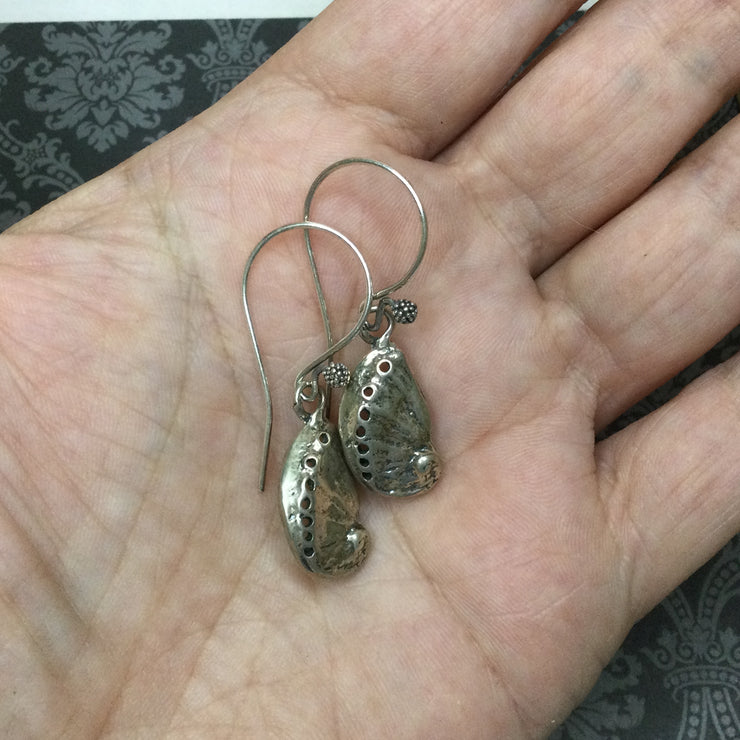 Caton/Sterling Silver Shell Earrings