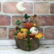 Autumn Pumpkins, Moon & Flora on Natural Tree Stump