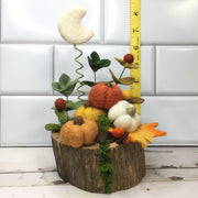 Autumn Pumpkins, Moon & Flora on Natural Tree Stump